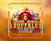 Buffalo Hold And Win Extreme